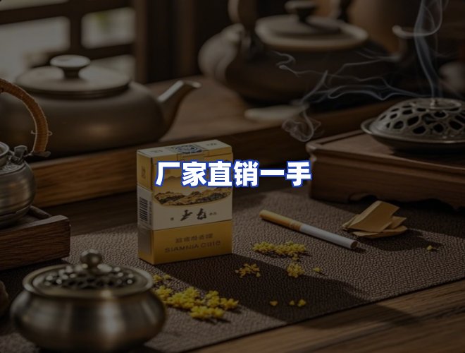 服务优势